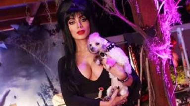 Anitta fantasiada de Elvira segura o cachorro, fantasiado de Gonk 