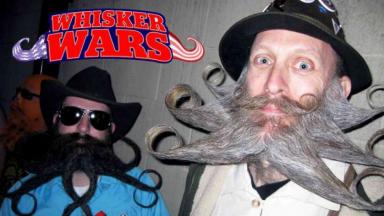 O reality shjow Whisker Wars 