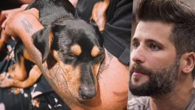 O ator Bruno Gagliasso e cachorra Lasanha 