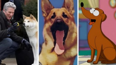 Hachiko, Rin Tin Tin e cachorro dos Simpsons 