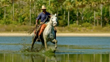 Imagem do documentário Pantanal, a Boa Inocência de Nossas Origens, com peão em cima de cavalo 