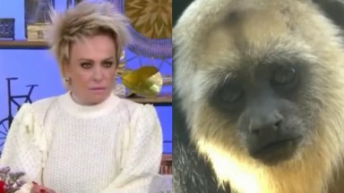 Ana Maria Braga se surpreendeu com imagens de macacos ao falar de racismo no Mais Você, na Globo 