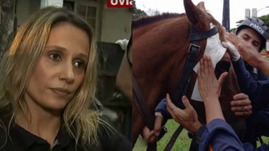Luisa Mell séria; Cavalo recebendo atadura na cabeça 