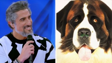 Marcos Mion e rindo e o cachorro Beethoven em foto montagem 
