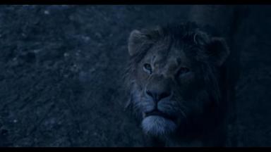Imagem do novo "O Rei Leão" 