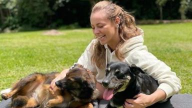 Paolla Oliveira posa com dois cachorros em foto no Instagram 
