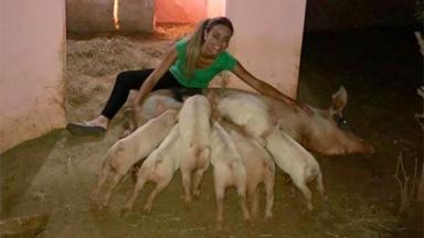 Paula com porquinhos 