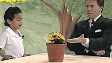 Fã mirim do Raça Negra, vaso de flor girassol e Silvio Santos 