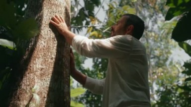 José Inocêncio com as mãos no tronco da árvore em cena de Renascer  