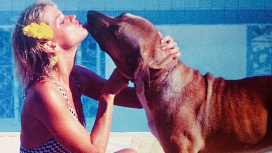 Qual o nome do cachorinho da Xuxa que ganhou uma canção em sua homenagem depois que ele partiu? 