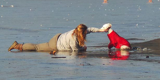 Em cena comovente, mulher se arrasta em lago gelado para salvar cão