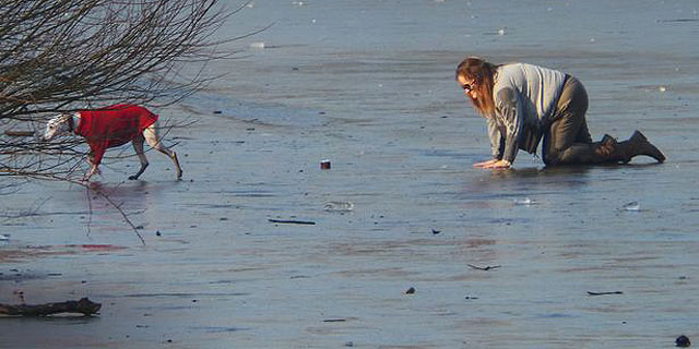 Em cena comovente, mulher se arrasta em lago gelado para salvar cão