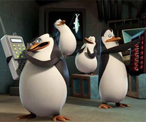 pinguins-de-madasgacar.jpg