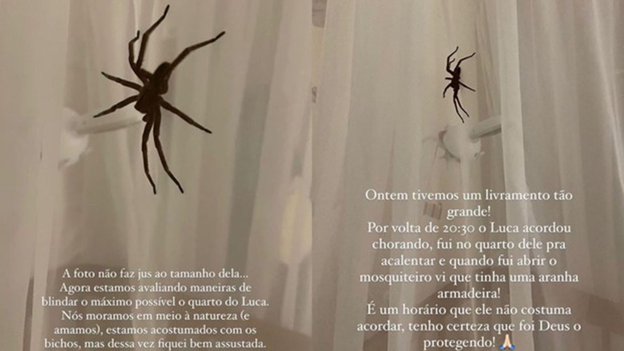 Mulher de Lucas Lucco encontra aranha gigante em berço do filho com o sertanejo