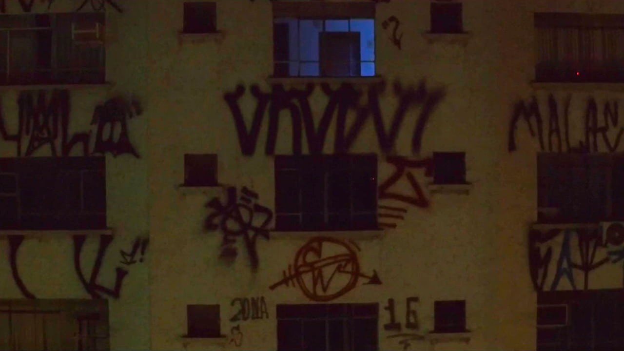 Pichação é \"anarquia, rabisco, depredação\", diz artista que invadiu a Bienal de 2008