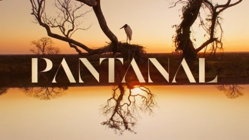 Tudo Sobre a Novela: Pantanal