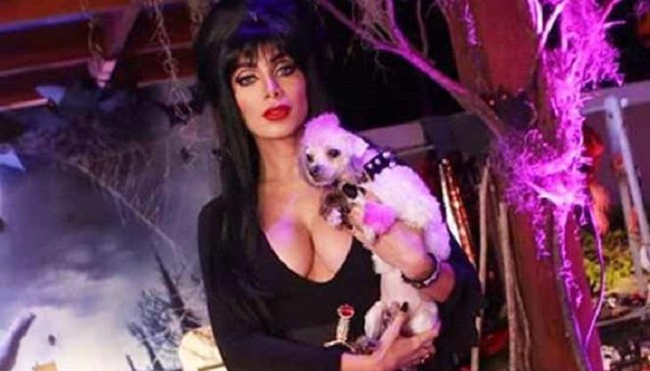 Anitta fantasiada de Elvira segura o cachorro, fantasiado de Gonk