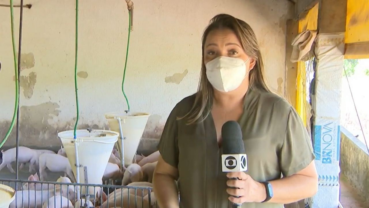 Repórter Aline Fonseca de blusa verde, segurando o microfone da Globo, falando para a câmera