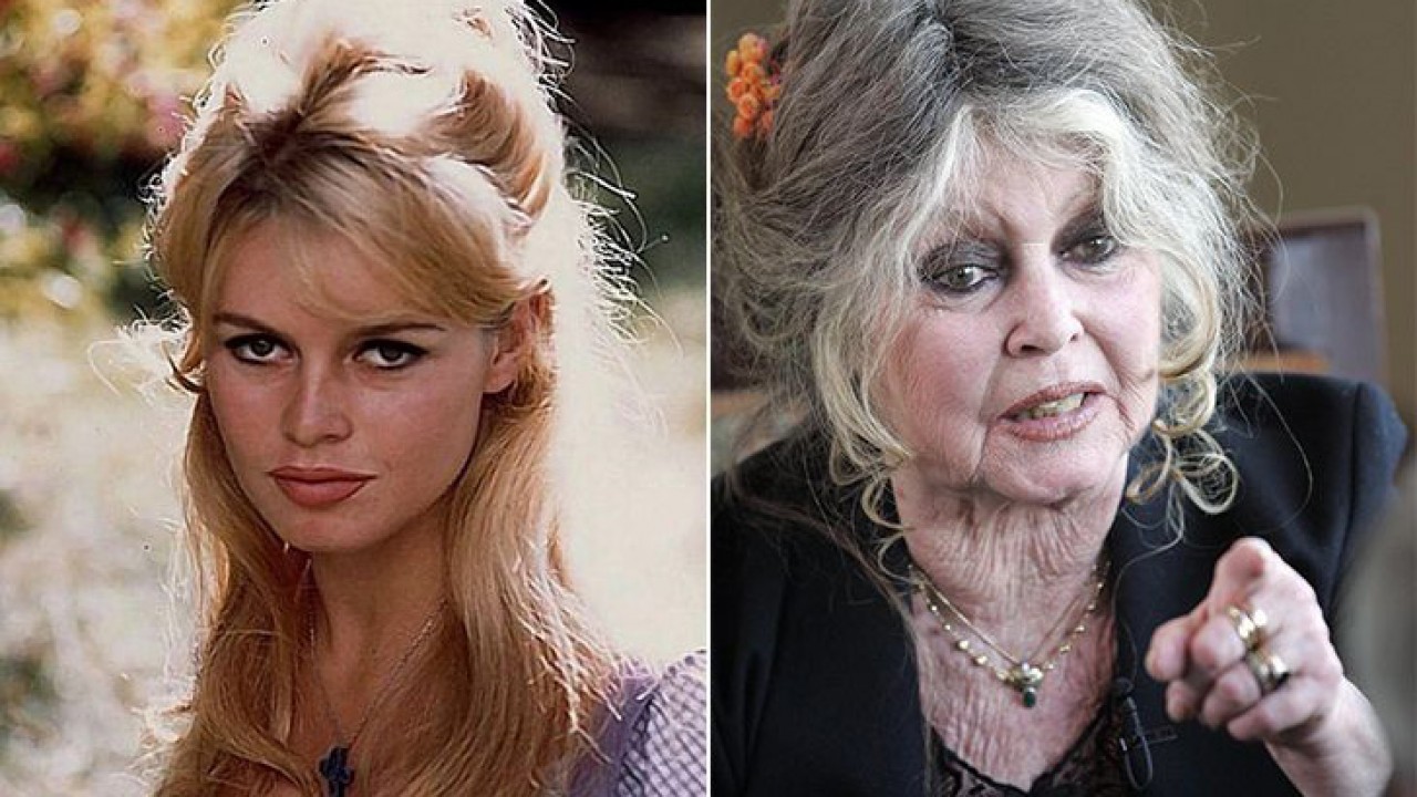Brigitte Bardot antes e depois
