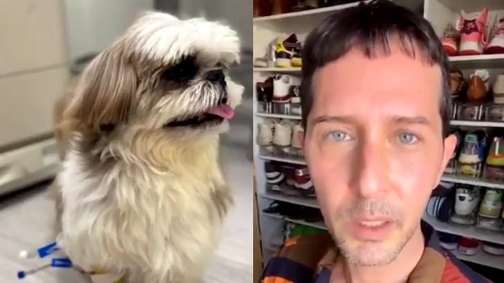Cachorro de Arlindo Grund recebendo medicação (à esquerda) e Arlindo Grund em vídeo do Twitter (à direita) em foto montagem