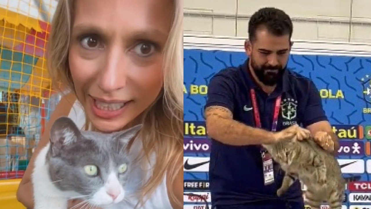 Montagem de Luisa Mell com um gato no colo e de um assessor da Seleção retirando um felino da coletiva de imprensa no Catar