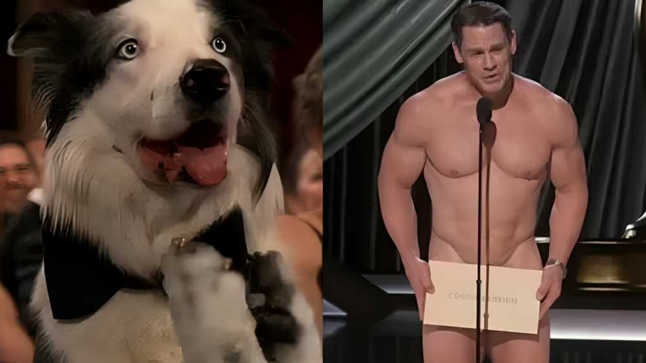 O cachorro Messi, de Anatomia de uma Queda, e o ator e lutador John Cena foram destaque no Oscar 2024