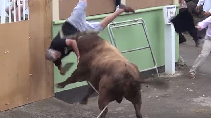 Homem é ferido por touro enquanto filmava animal com tablet